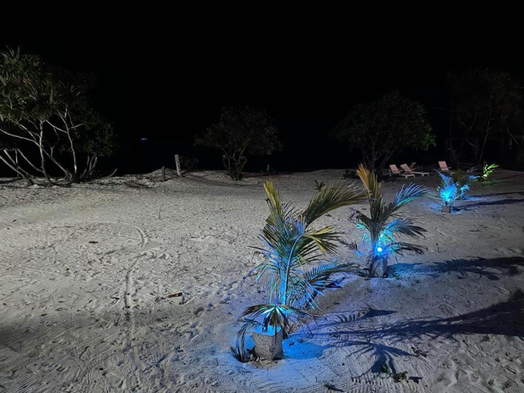 Jambo Beach Hotel Paje Kültér fotó